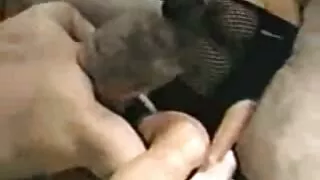 Danaool coroas lesbicas gostosas