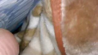 Mostrar padrasto como ele pode chupar coroas amadoras brasileiras o pau.
