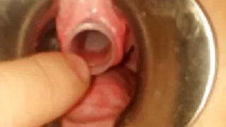 Estou lixado videosdesexocomcoroas pelo Gerente do hotel.